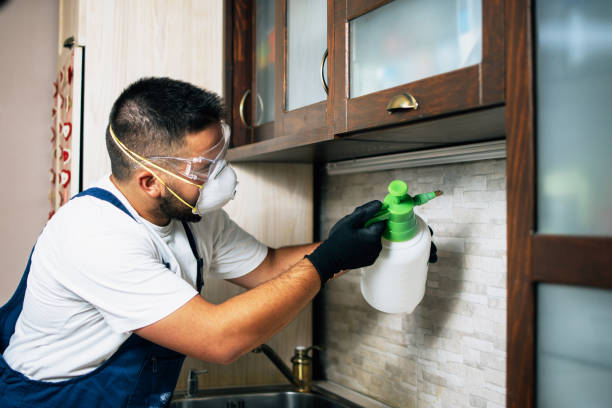 Professional Pest Control in Pulaski, TN