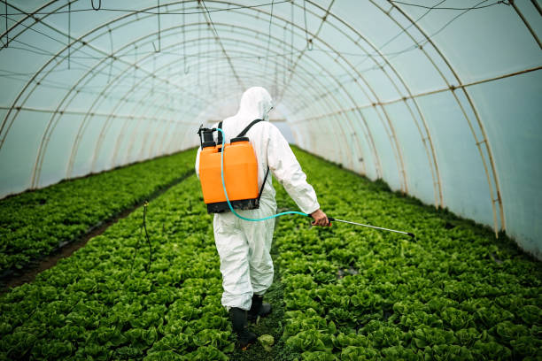 Best Commercial Pest Control Services  in Pulaski, TN
