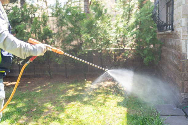 Bird Control in Pulaski, TN