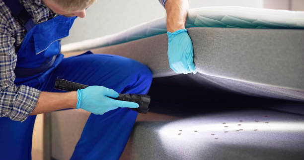 Best Residential Pest Control  in Pulaski, TN