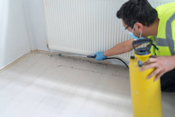 Best Affordable Pest Control Services  in Pulaski, TN