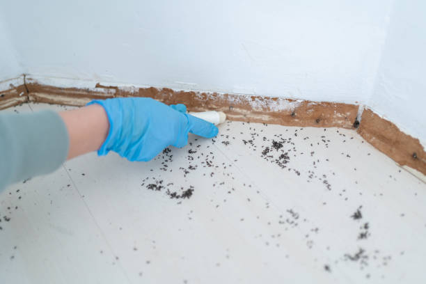 Best Commercial Pest Control Services  in Pulaski, TN