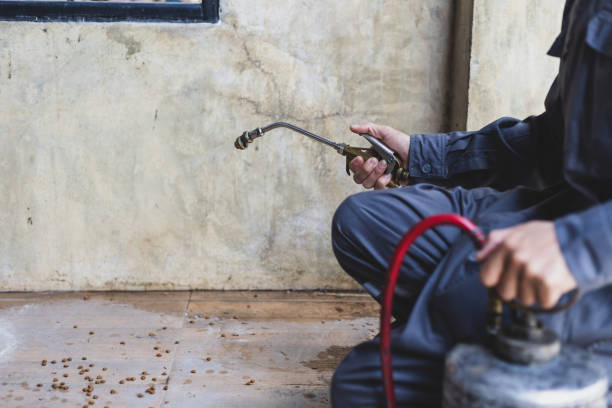 Best Pest Prevention Services  in Pulaski, TN