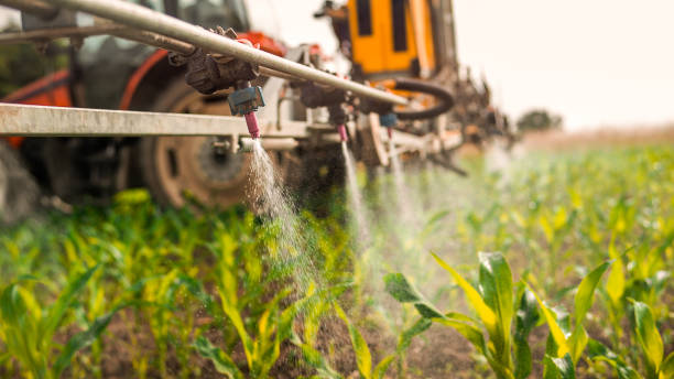 Best Commercial Pest Control Services  in Pulaski, TN